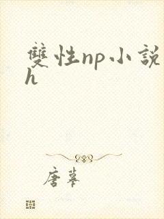 双性np小说高h