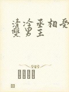 清冷丞相受生子双男主封面