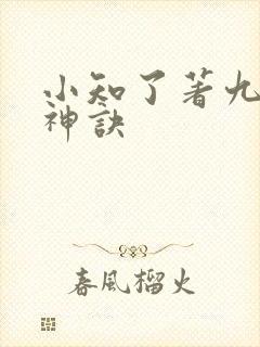 小知了著九天斩神诀