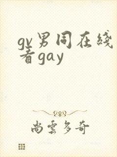 gv男同在线观看gay封面