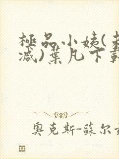 极品小姨(未删减)叶凡下载