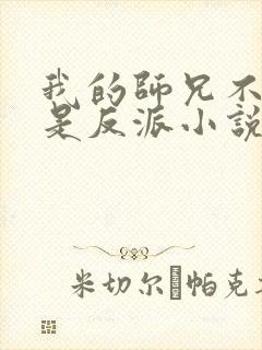我的师兄不可能是反派小说
