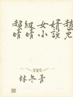 超级女婿赵旭李晴晴小说免费阅读