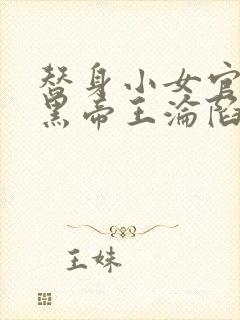 替身小女官,腹黑帝王沦陷了祁渊小说