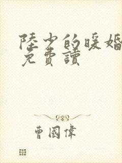 陆少的暖婚新妻免费读
