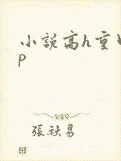 小说高h重口np