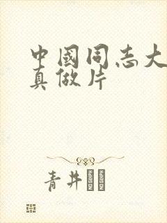 中国同志大尺度真做片封面
