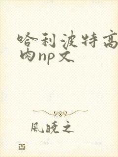 哈利波特高h纯肉np文