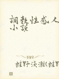 调教性感人妻的小说封面