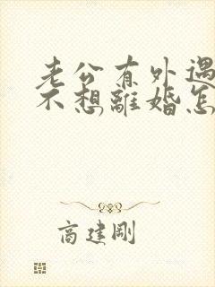 老公有外遇但我不想离婚怎么办