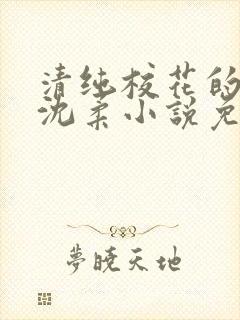 清纯校花的日常沈柔小说免费阅读