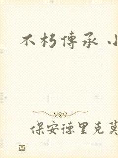 不朽传承 小说