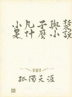 小凡子与楚清璇是什么小说