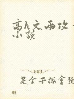 高h文两攻一受小说