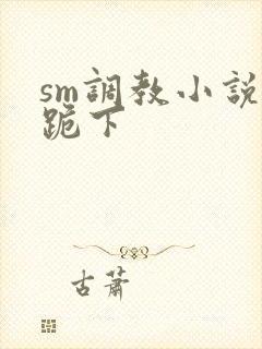 sm调教小说 跪下封面
