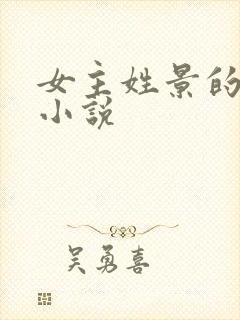 女主姓景的现代小说封面