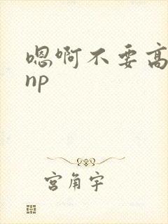 嗯啊不要高h np
