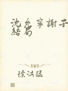 沈允宁谢子寻大结局封面