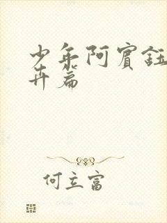少年阿宾钰慧孟卉篇