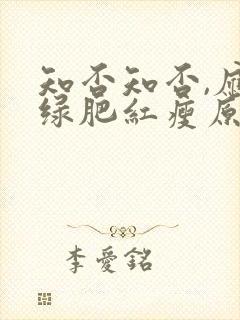 知否知否,应是绿肥红瘦原著小说