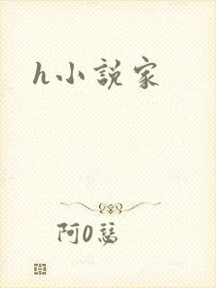 h小说家