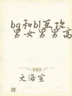 bg和bl互攻男女男男高h文封面