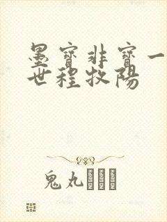 墨宝非宝一生一世程牧阳