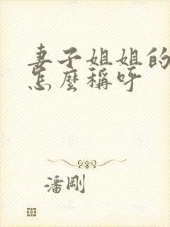 妻子姐姐的丈夫怎么称呼封面