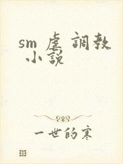 sm 虐 调教 小说封面