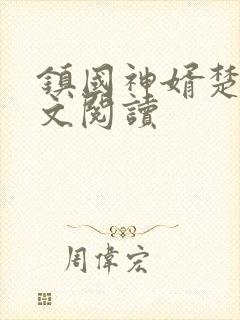 镇国神婿楚尘全文阅读