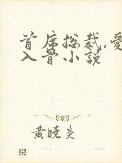 首席总裁,爱你入骨小说封面