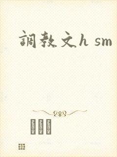 调教文h sm