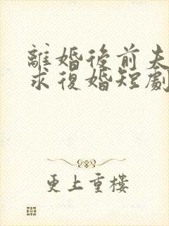 离婚后前夫哭着求复婚短剧