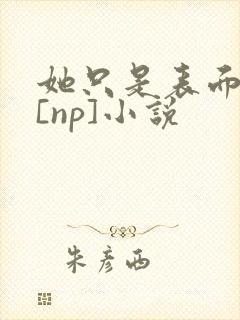 她只是表面清纯[np]小说