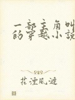 一部主角叫金峰的穿越小说封面