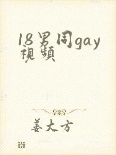 18男同gay视频封面