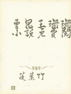 曹昆王珊珊重生小说免费阅读无弹窗