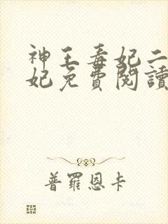 神王毒妃二嫁王妃免费阅读全文