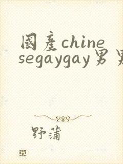 国产chinesegaygay男男