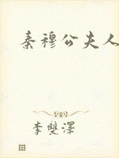 秦穆公夫人封面