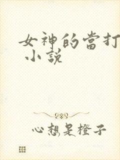 女神的当打之年 小说封面