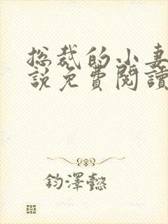 总裁的小妻子小说免费阅读封面