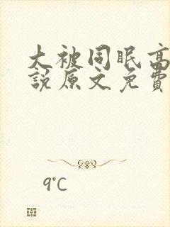 大被同眠高粱小说原文免费阅读