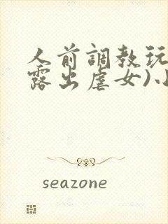 人前调教玩弄(露出虐女)小说