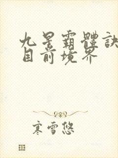 九星霸体诀龙尘目前境界