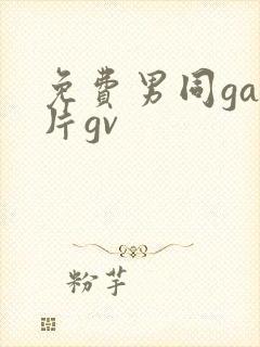 免费男同gay片gv封面