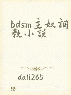 bdsm主奴调教小说封面