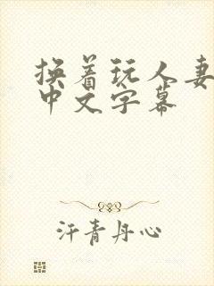 换着玩人妻hd中文字幕