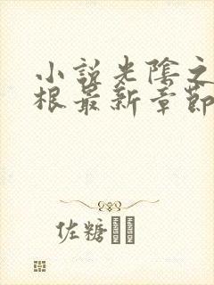 小说光阴之外耳根最新章节下载封面
