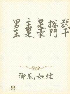 男主是总裁,女主是豪门千金